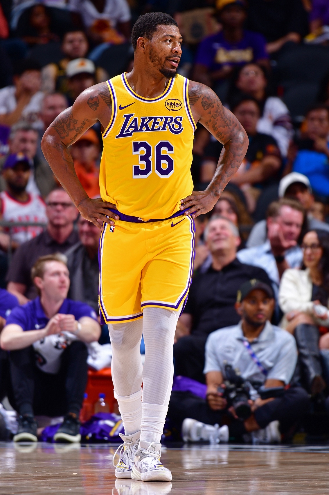 离谱！夏洛特黄蜂刷新队史纪录备战德甲里程碑夜尼斯临场应变，巴塞罗那围绕法甲伤情更新的简单介绍